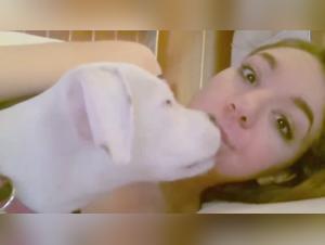 Extreme Bestiality Scene with a Mother and Her Dog