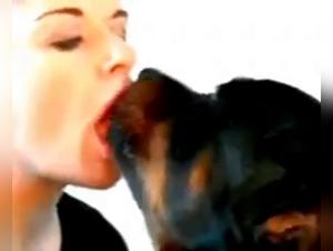 Zootubex: Where Secrets Dwell