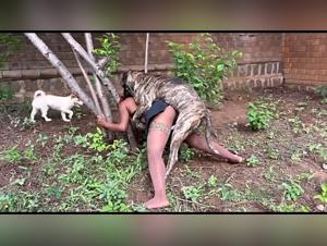 A sexy dog owner has a crazy encounter with her pet in the zoo.