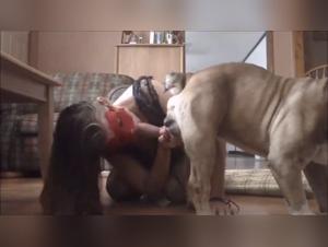 Bestiality sex video with a bulldog