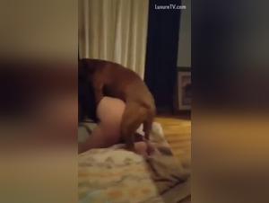 Exploring Alternate Sexualities