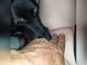 Sex Videos with Animals: Discover the World of Zoophilia