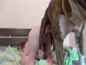 Vidéo de sexe bestialité: chien et femme