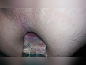 Zoophilia and bestiality sex video