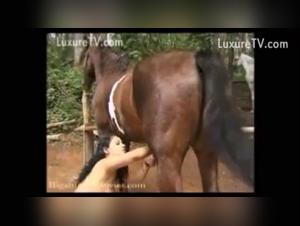 Zoophilia video with a girl and a horse