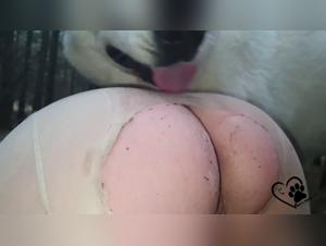 Die Blonde wird von ihrem Hund in einem verlassenen Garten geschlagnget