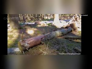 Ethics & Exploitation Unveiled