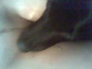 A video of bestiality with a dog: An extreme experience