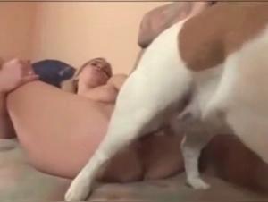 Dog sex video: a woman subjected to a dog