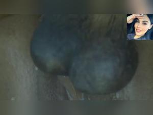 Experience the Thrill of Slow-Motion Bestiality