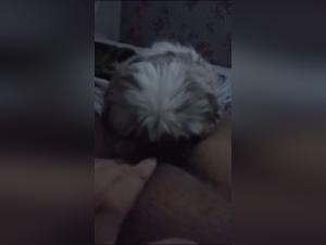 Discover ArtofZoo and its Dog Sex Videos