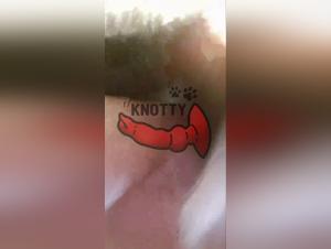 El sexo de la puta y el perro en el parque