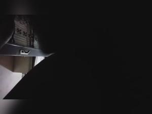 beastiality compilation