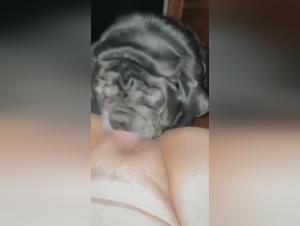 Exploration of deepest desires