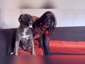 Experience Sex with a Dog Like You've Never Seen Before