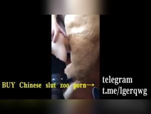 Dog sex video: don't miss this hardcore scene