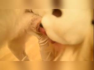 dog -loving feminists: wild pleasure