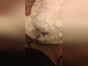 Intense Moments of Zoophilia and Extreme Sex