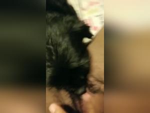 Bestiality sex video with dog