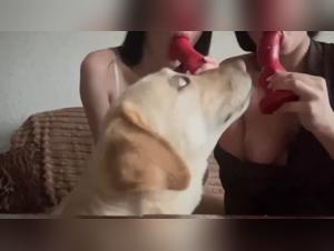 Forbidden Discoveries: XXXZoo and New Frontiers