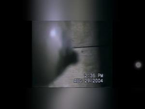 Breastfeeding and extreme practices on a farm