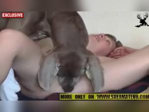 Discover bestiality with Simone and her dog