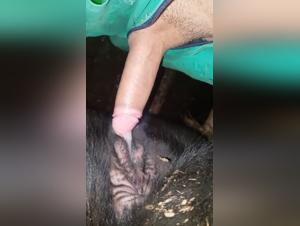 beastly zoo interaction