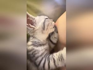 Horsecock and Burning Petlust