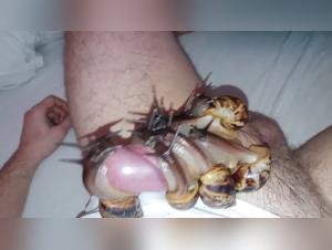A bestiality sex scene with a snail