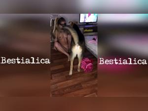 Watch this video to ring your bell of dog fucking sex and dirty