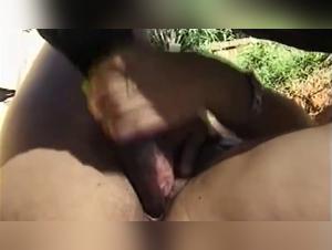 Dolci Tentazioni Equestri Sudamericane
