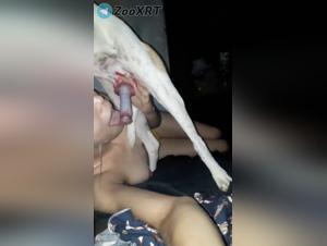 Artofzoo Porn: Animalita senza limiti