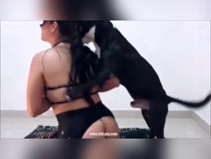 zoofilia video hd tube