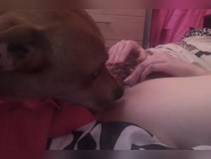 Watch this Slut Get Fucked by a Dog