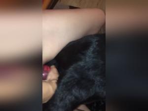 bestiality movies onlyfan