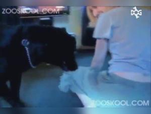 Dominazione canina, orgasmi incandescenti