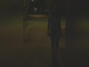 Experience the Thrill of Dog Sex and Zoophilia