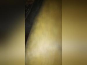 Bestiality Video: Woman and Horse