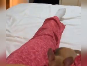 rohe Kraft und unkontrollierter Tierinstinkt