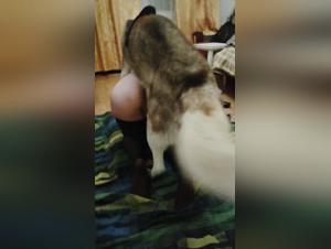 Bestiality Video: A Woman and a Dog