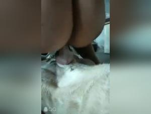 Vidéo de Bestialité: Femme et Chien