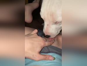Entfesselter tierischer Instinkt: Entdecken Sie bestialischen Sex