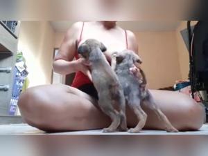 An Exciting Zoophilia Experience