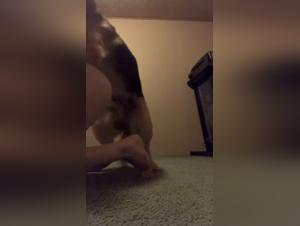 Esplorando il Tabu di Beastsex