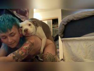 Des Instants Interdits Avec Un Chien