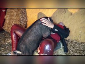 Dominant pig, submissive woman: Bestiality in its purest form