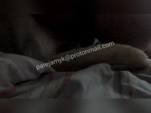 Amateur Video: Bestiality and Extreme Sex