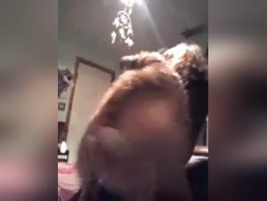 Controversial Realities: Dog/Human Interaction