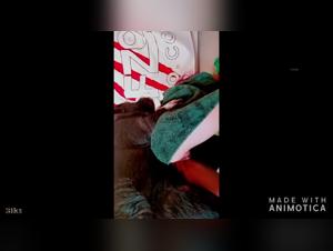 zooyouporn woman pig