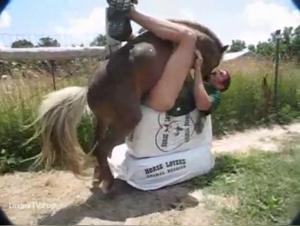 Horse Bestiality Video: An Unforgettable Human-Animal Encounter